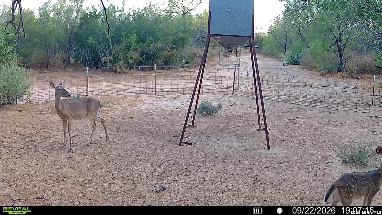 456 ESCONDIDO RD, Carrizo Springs, TX 78834