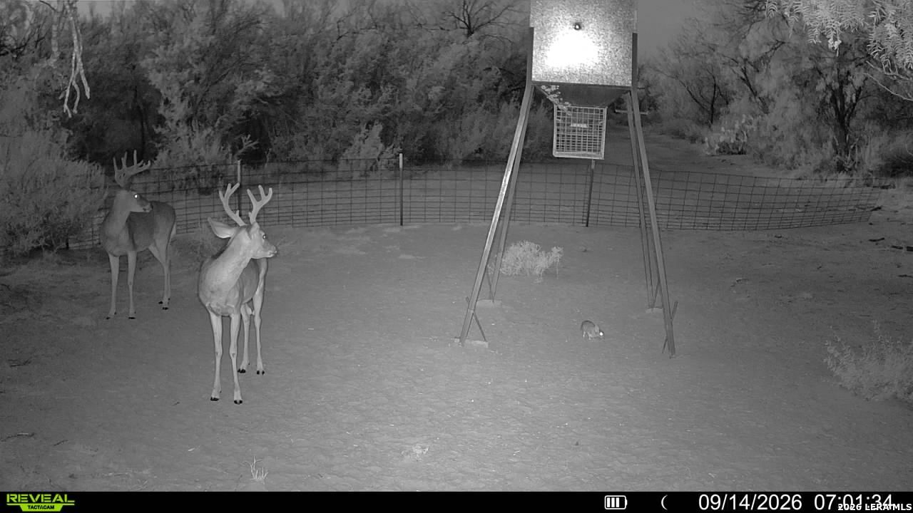 456 ESCONDIDO RD, Carrizo Springs, TX 78834