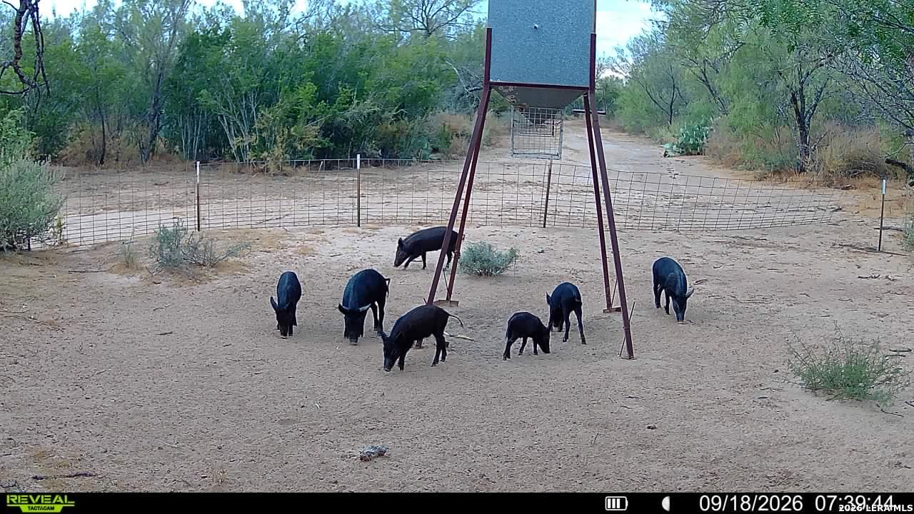 456 ESCONDIDO RD, Carrizo Springs, TX 78834