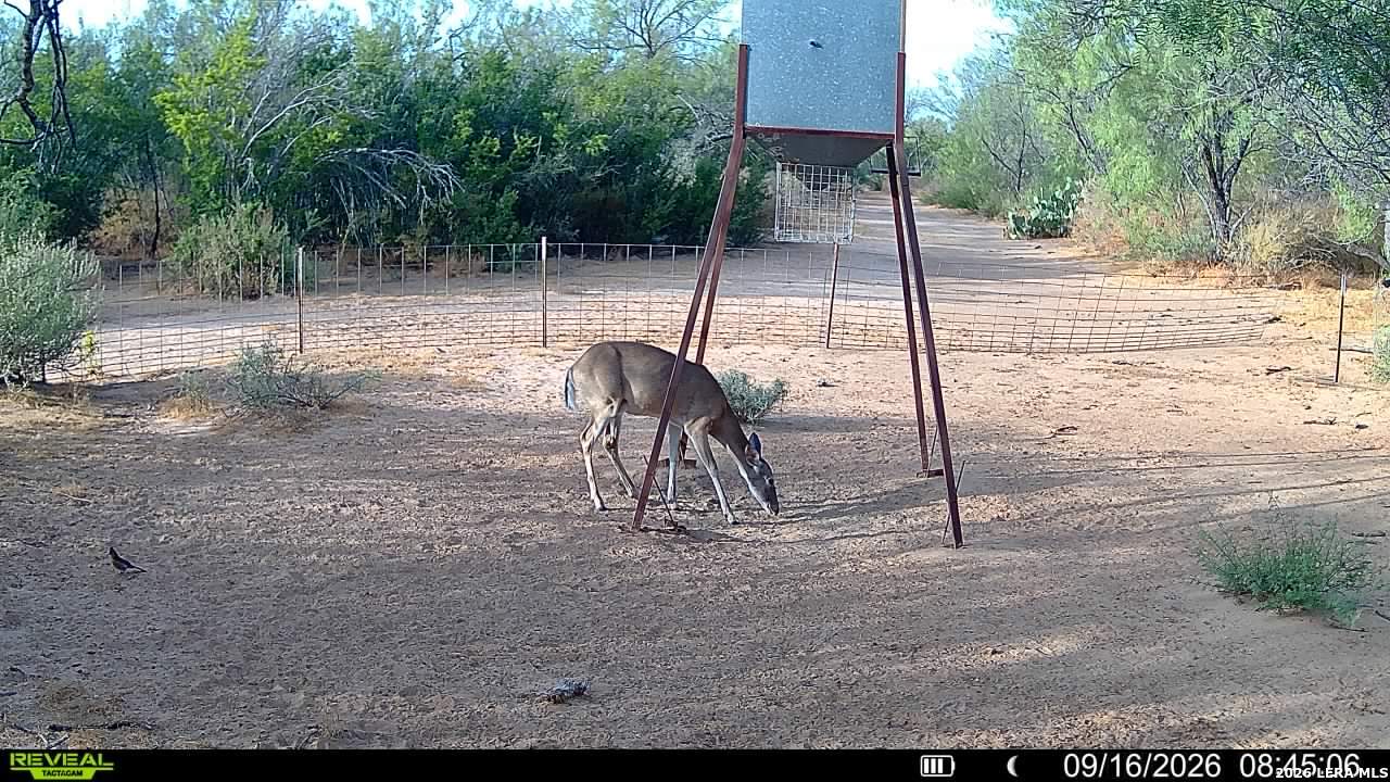 456 ESCONDIDO RD, Carrizo Springs, TX 78834
