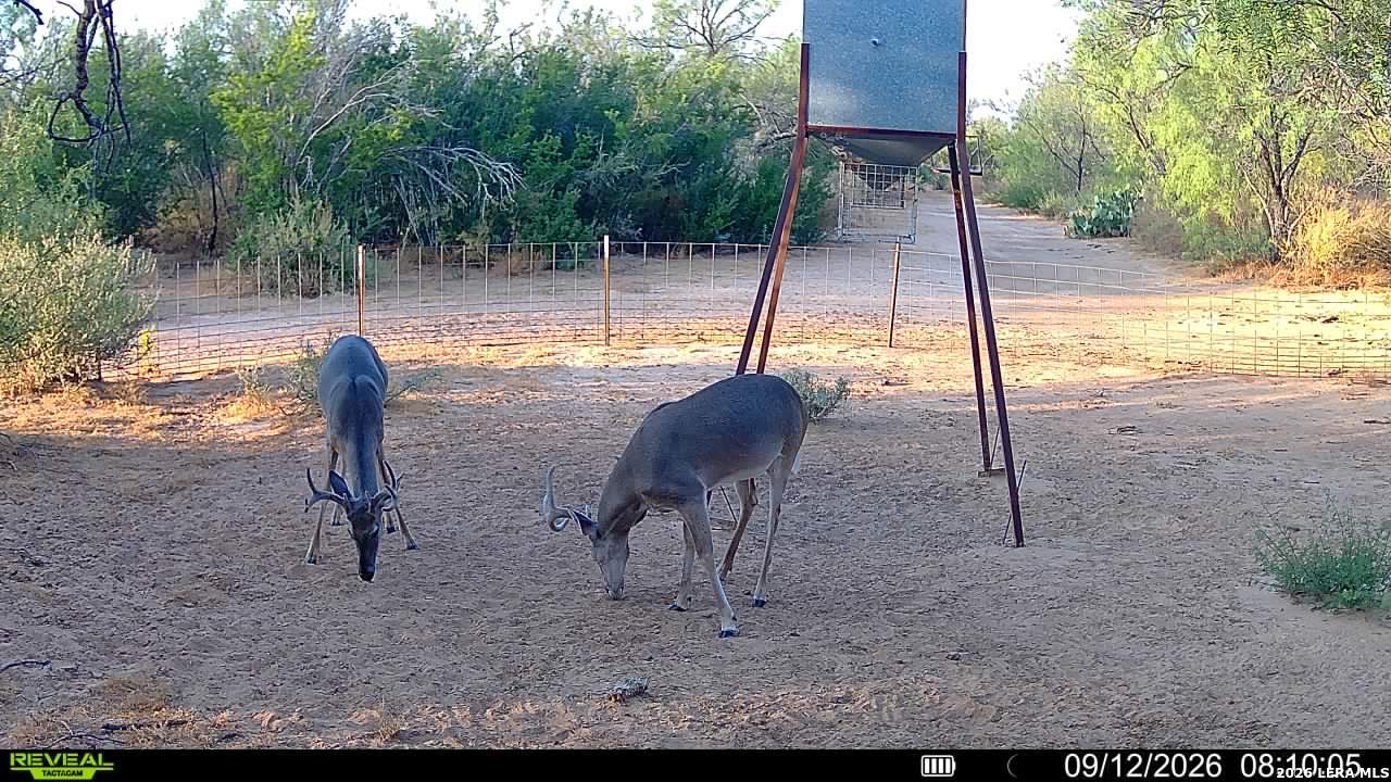 456 ESCONDIDO RD, Carrizo Springs, TX 78834
