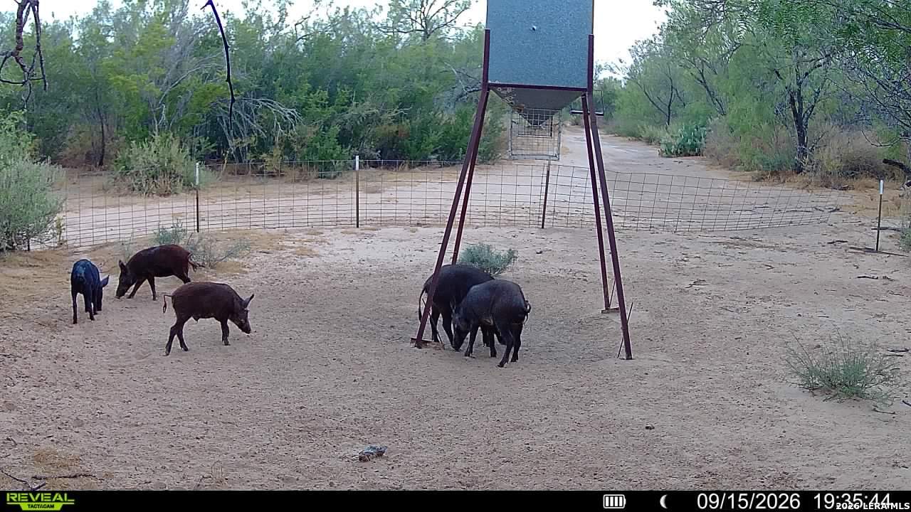 456 ESCONDIDO RD, Carrizo Springs, TX 78834
