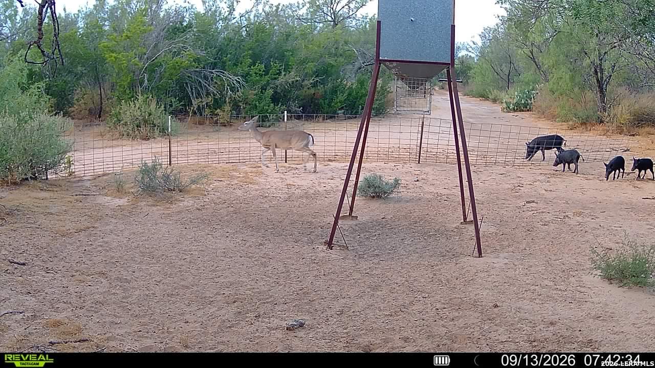 456 ESCONDIDO RD, Carrizo Springs, TX 78834