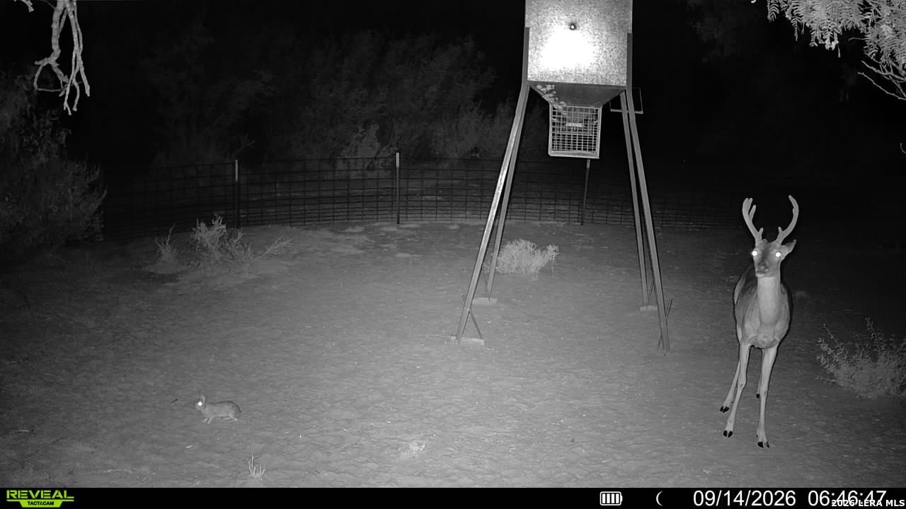 456 ESCONDIDO RD, Carrizo Springs, TX 78834