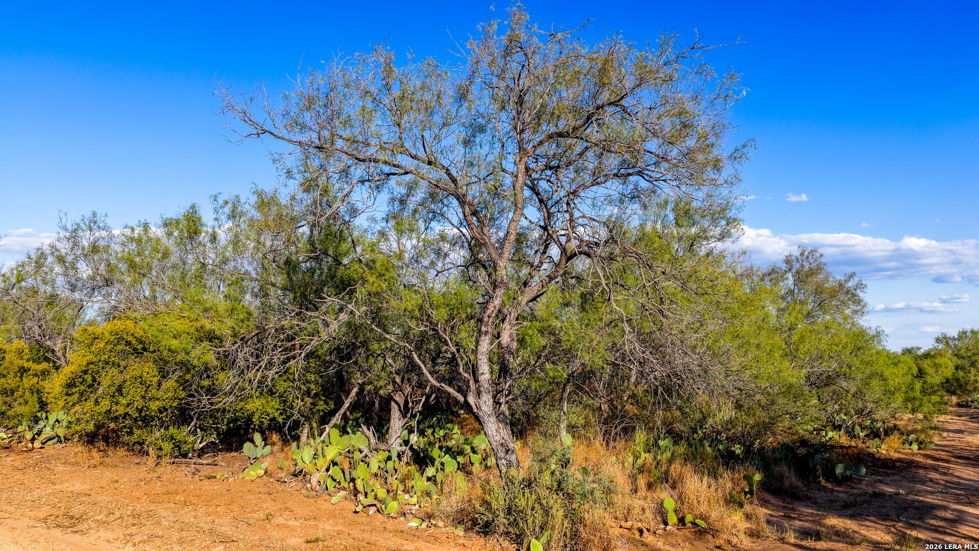 456 ESCONDIDO RD, Carrizo Springs, TX 78834