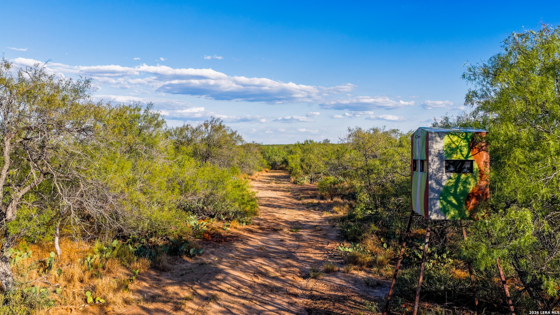 456 ESCONDIDO RD, Carrizo Springs, TX 78834