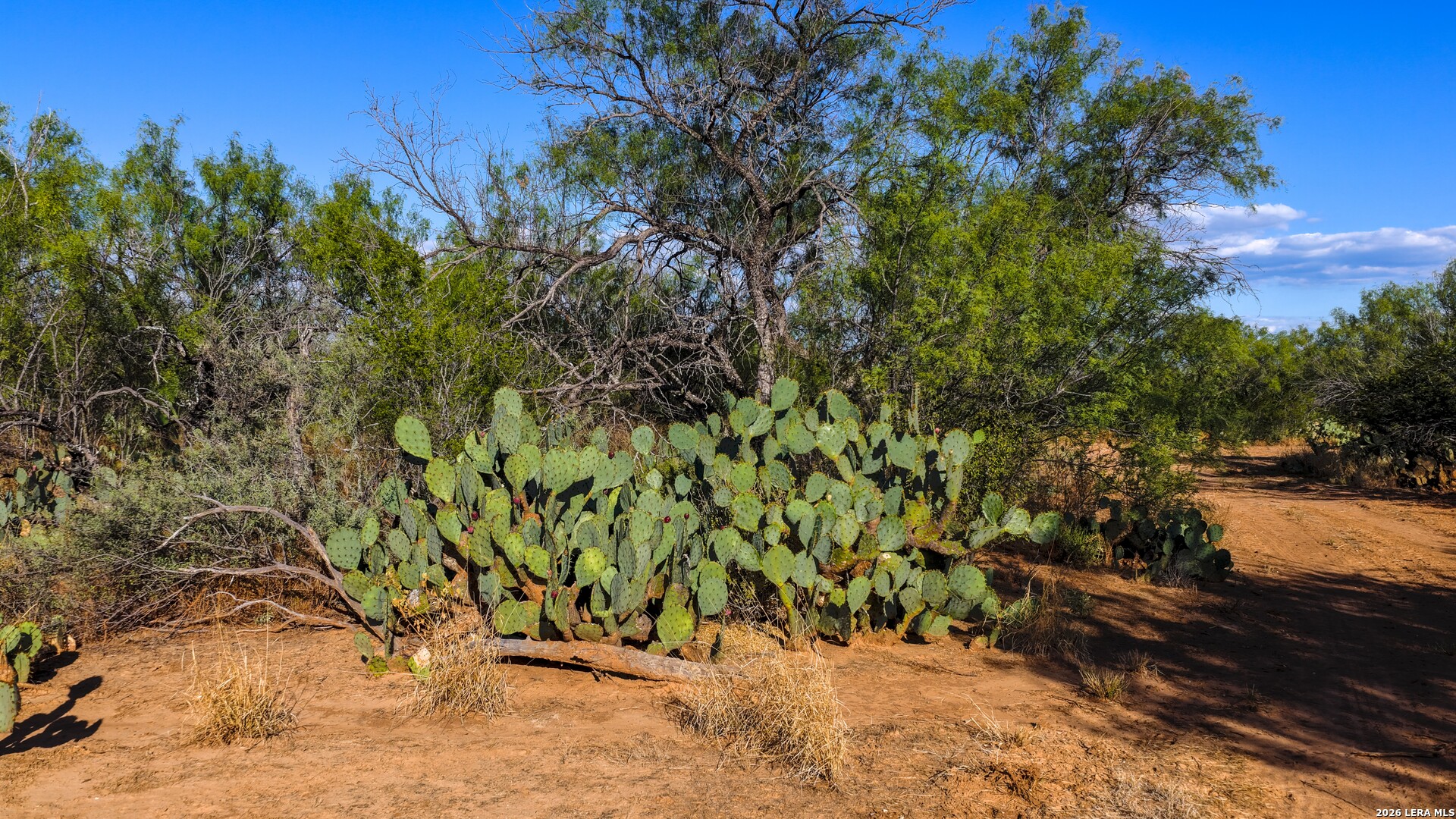 456 ESCONDIDO RD, Carrizo Springs, TX 78834