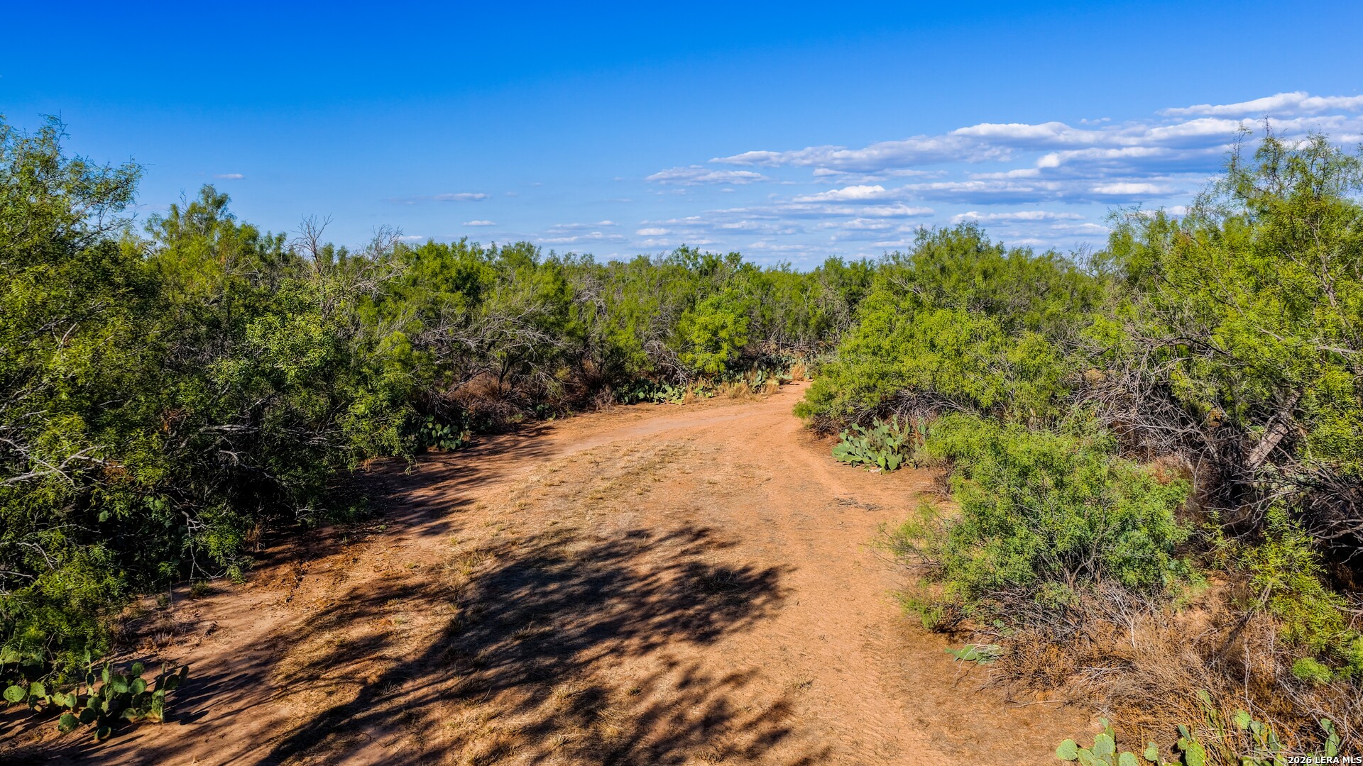 456 ESCONDIDO RD, Carrizo Springs, TX 78834
