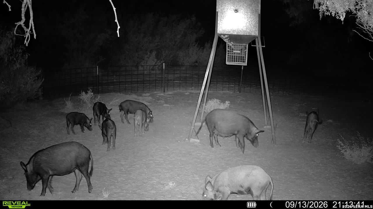 456 ESCONDIDO RD, Carrizo Springs, TX 78834