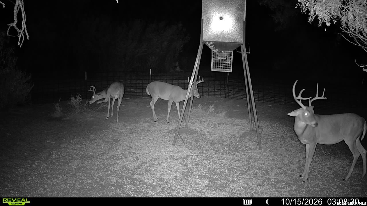 456 ESCONDIDO RD, Carrizo Springs, TX 78834