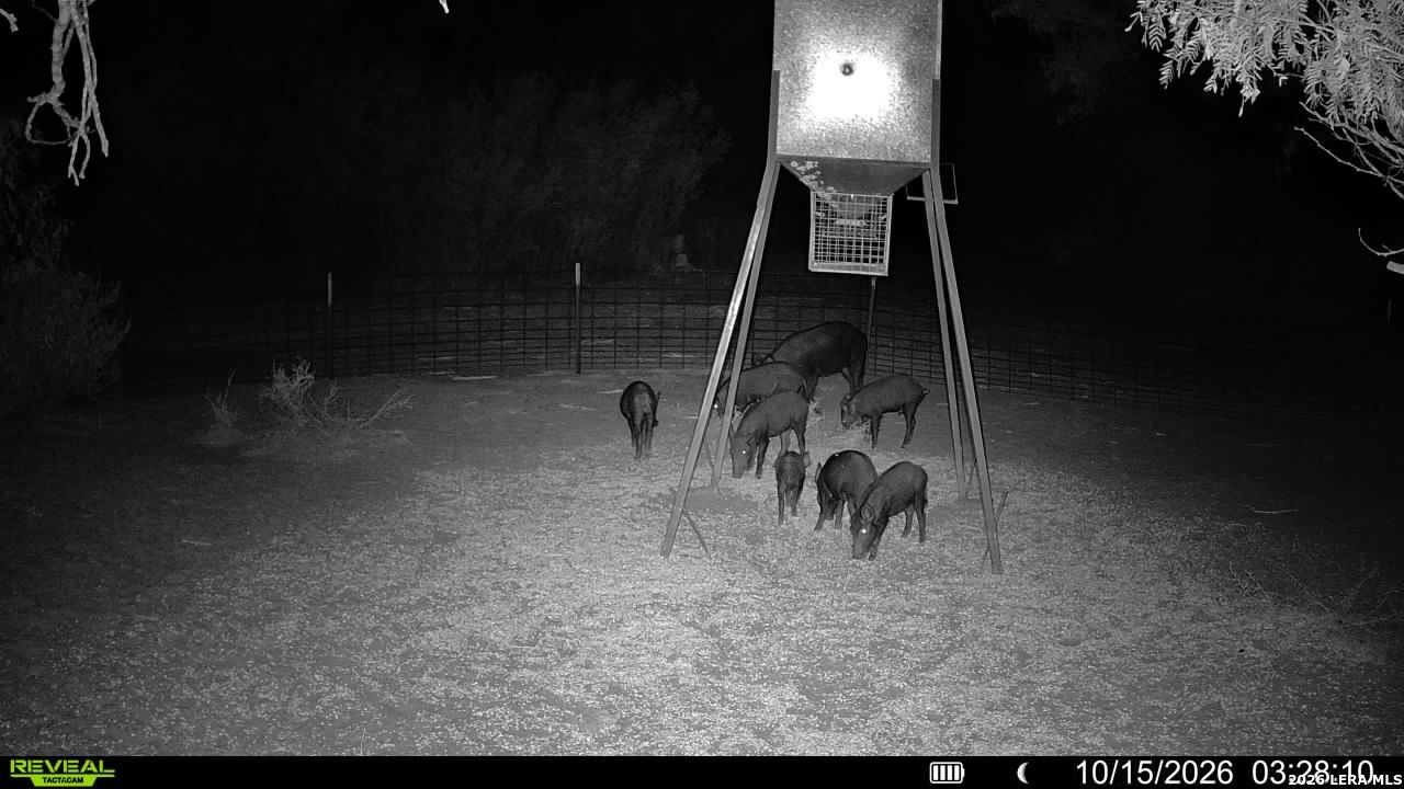 456 ESCONDIDO RD, Carrizo Springs, TX 78834