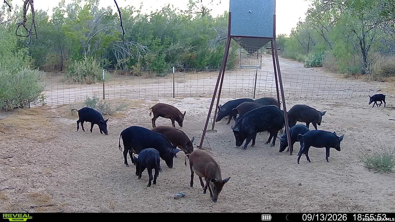 456 ESCONDIDO RD, Carrizo Springs, TX 78834