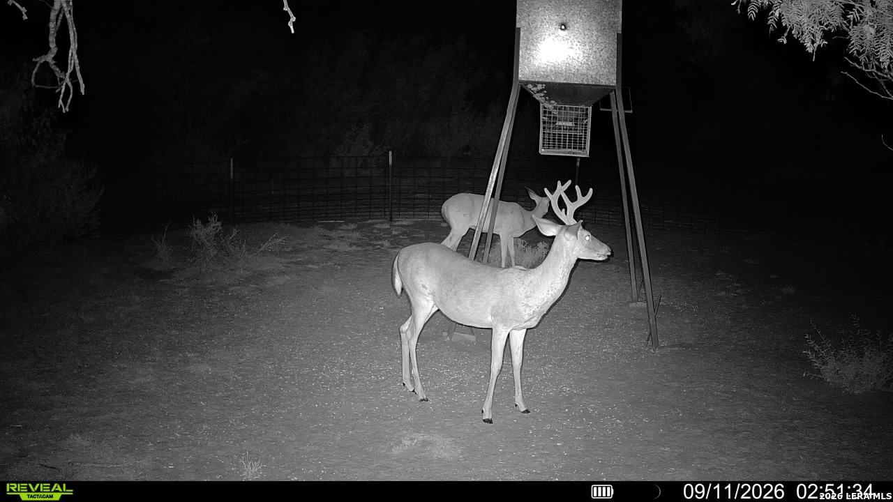 456 ESCONDIDO RD, Carrizo Springs, TX 78834