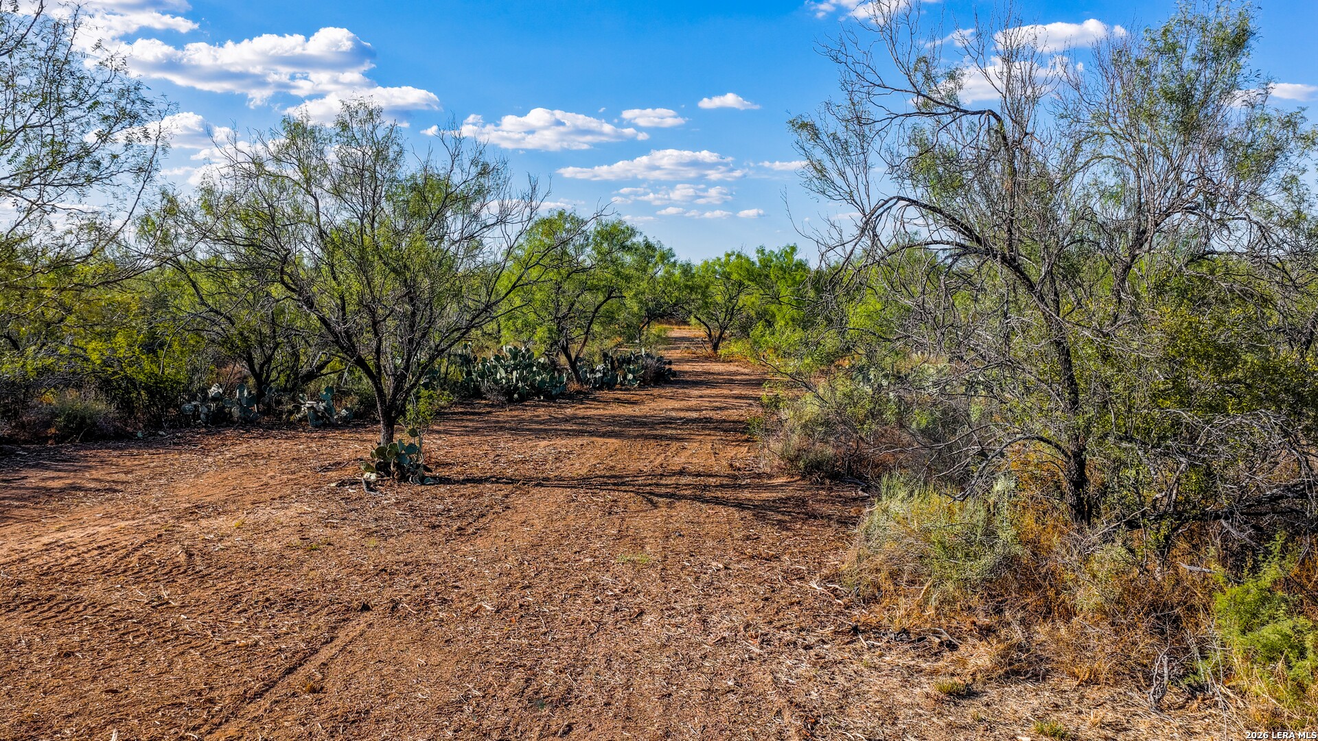 456 ESCONDIDO RD, Carrizo Springs, TX 78834
