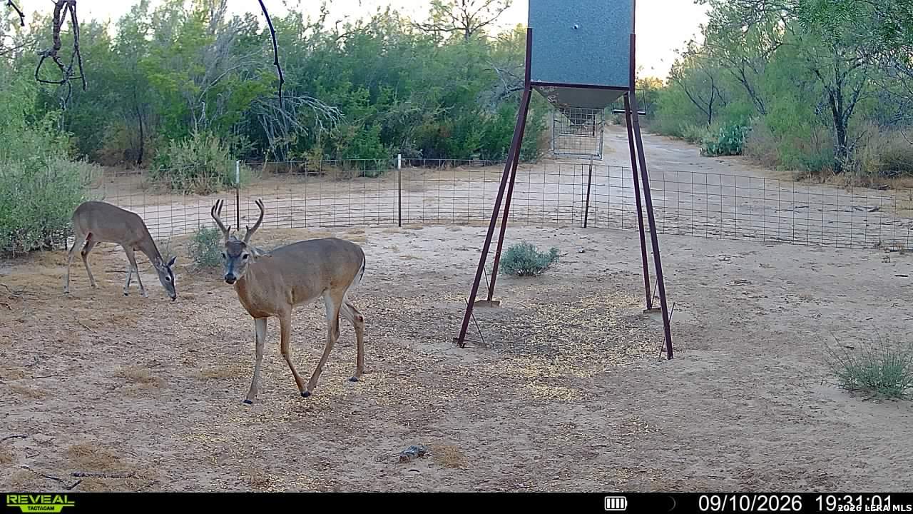 456 ESCONDIDO RD, Carrizo Springs, TX 78834