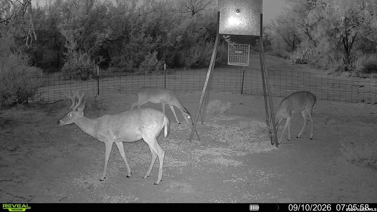 456 ESCONDIDO RD, Carrizo Springs, TX 78834