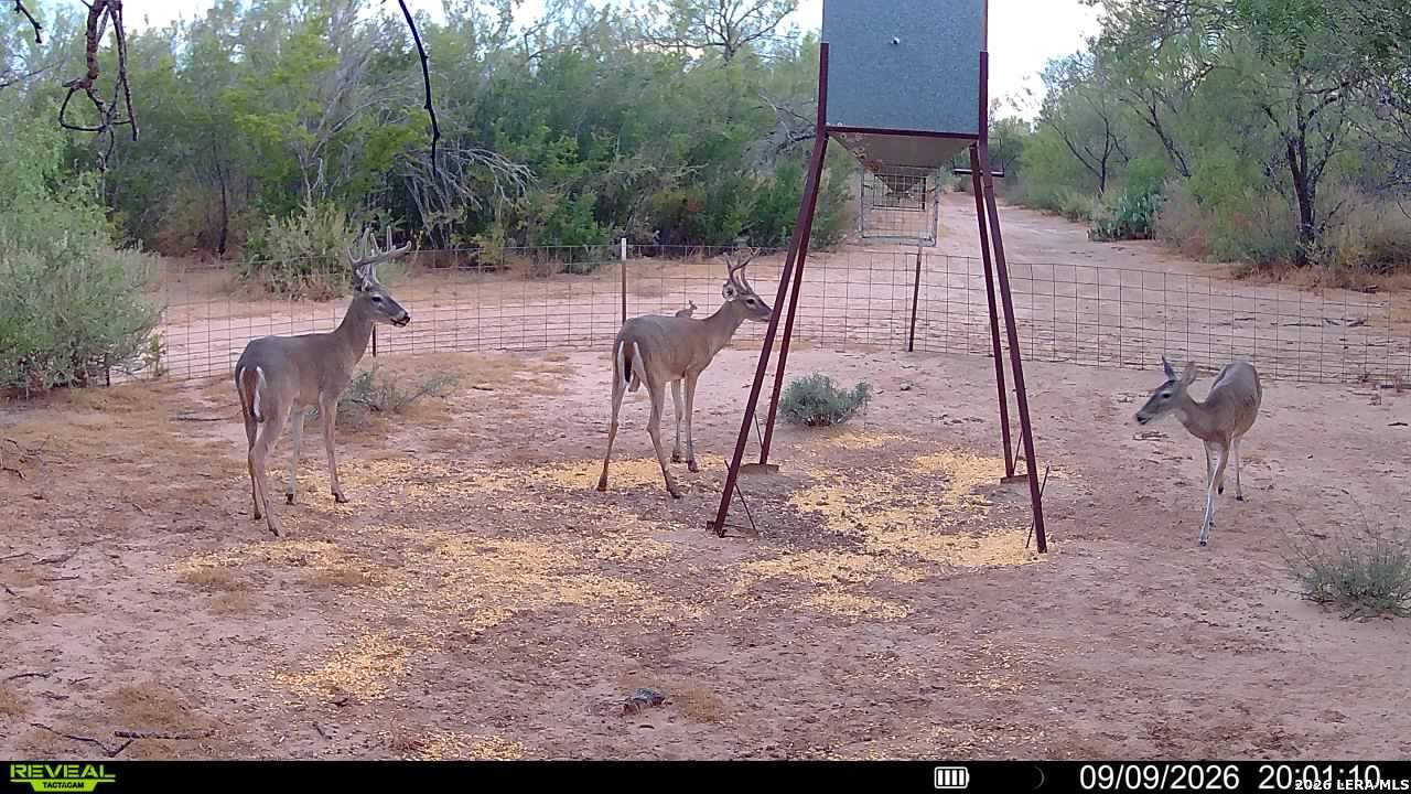 456 ESCONDIDO RD, Carrizo Springs, TX 78834