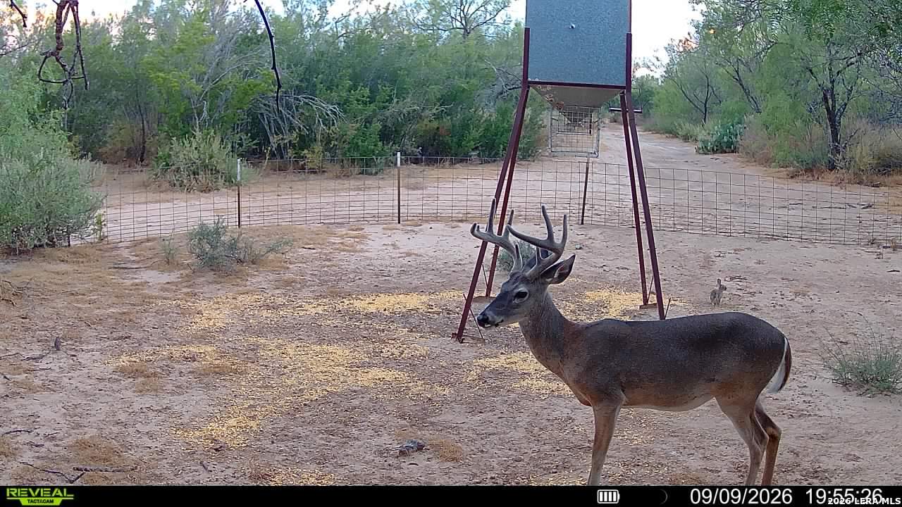 456 ESCONDIDO RD, Carrizo Springs, TX 78834