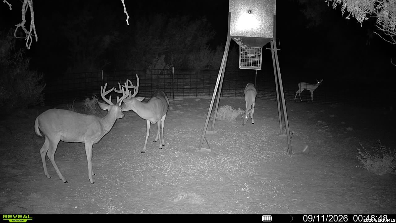 456 ESCONDIDO RD, Carrizo Springs, TX 78834