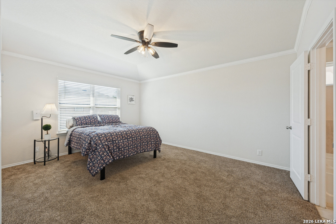 6602 Beech Trail, Converse, TX 78109
