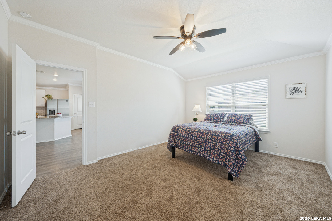 6602 Beech Trail, Converse, TX 78109