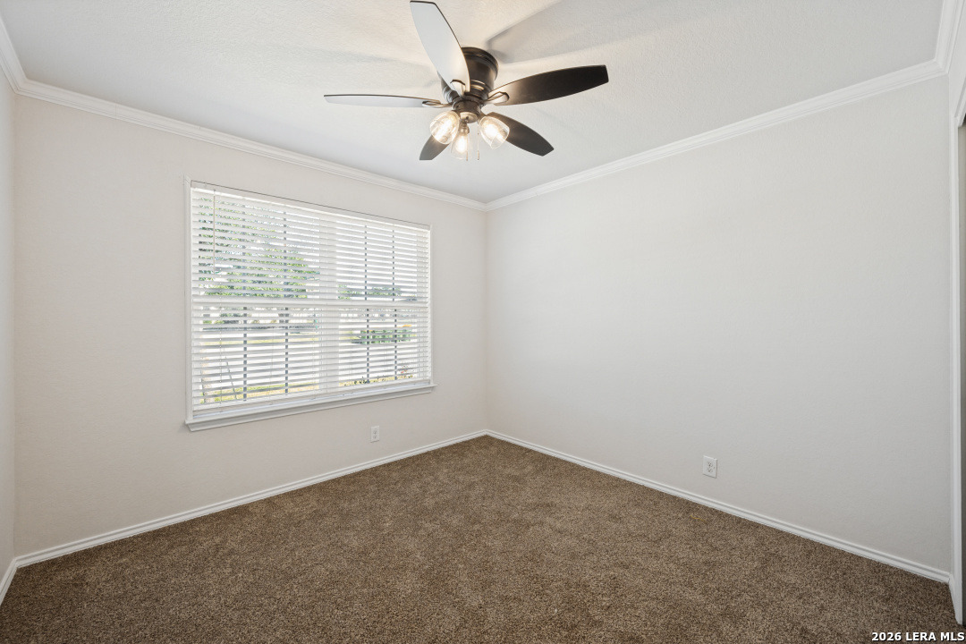 6602 Beech Trail, Converse, TX 78109