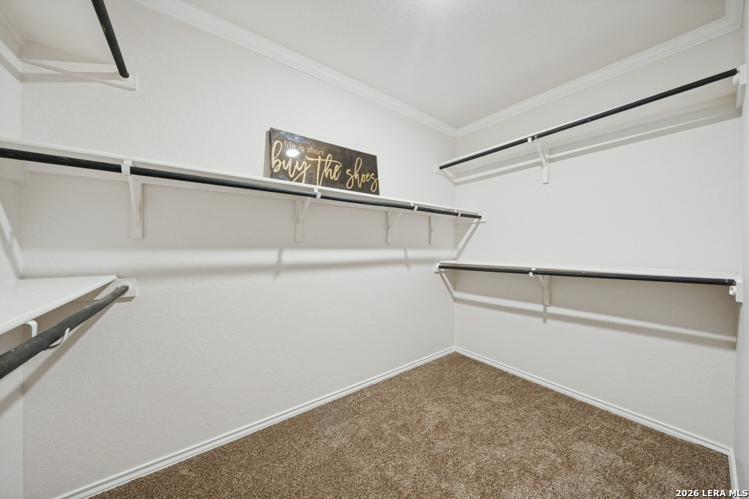 6602 Beech Trail, Converse, TX 78109