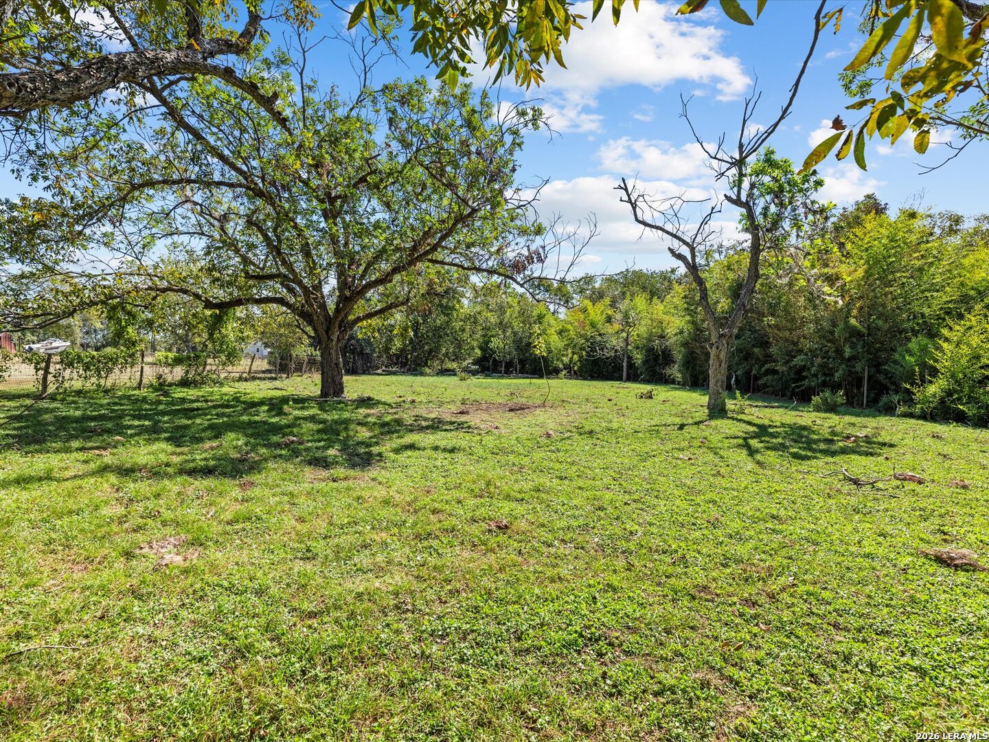 Yard/Garden