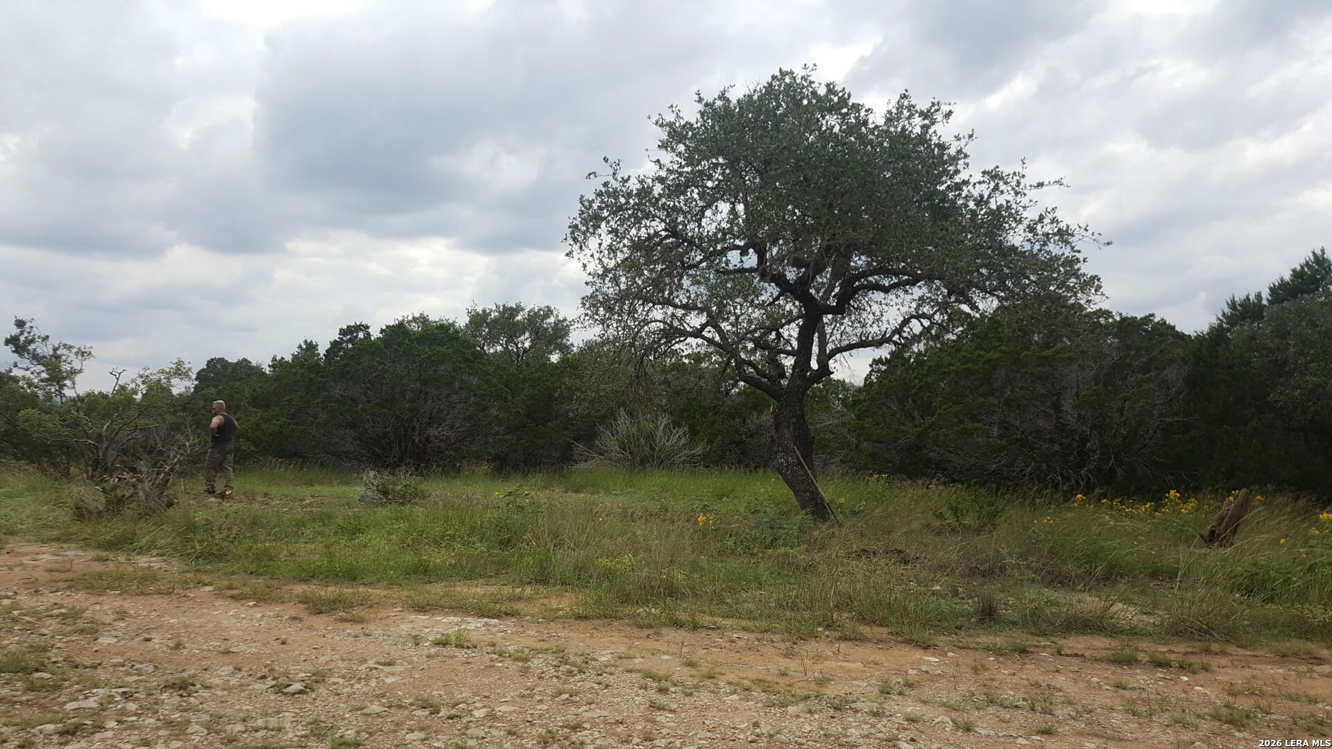 449 Coyote Trail, Spring Branch, TX 78070