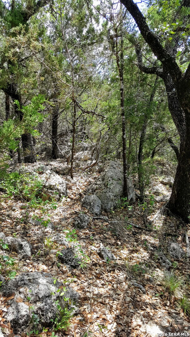 449 Coyote Trail, Spring Branch, TX 78070