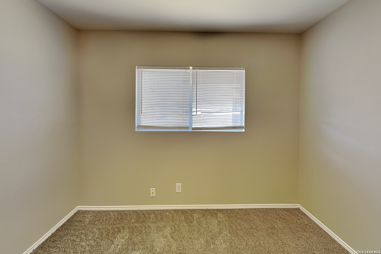 12612 Mexican Plum, San Antonio, TX 78253