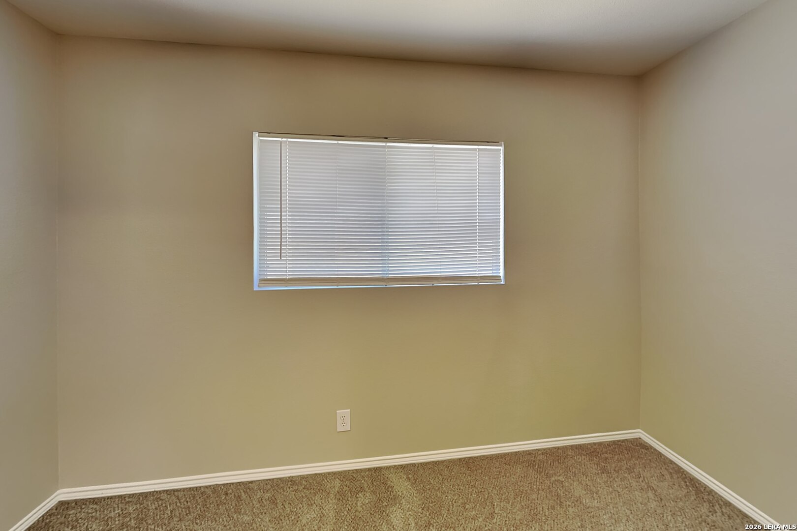 12612 Mexican Plum, San Antonio, TX 78253