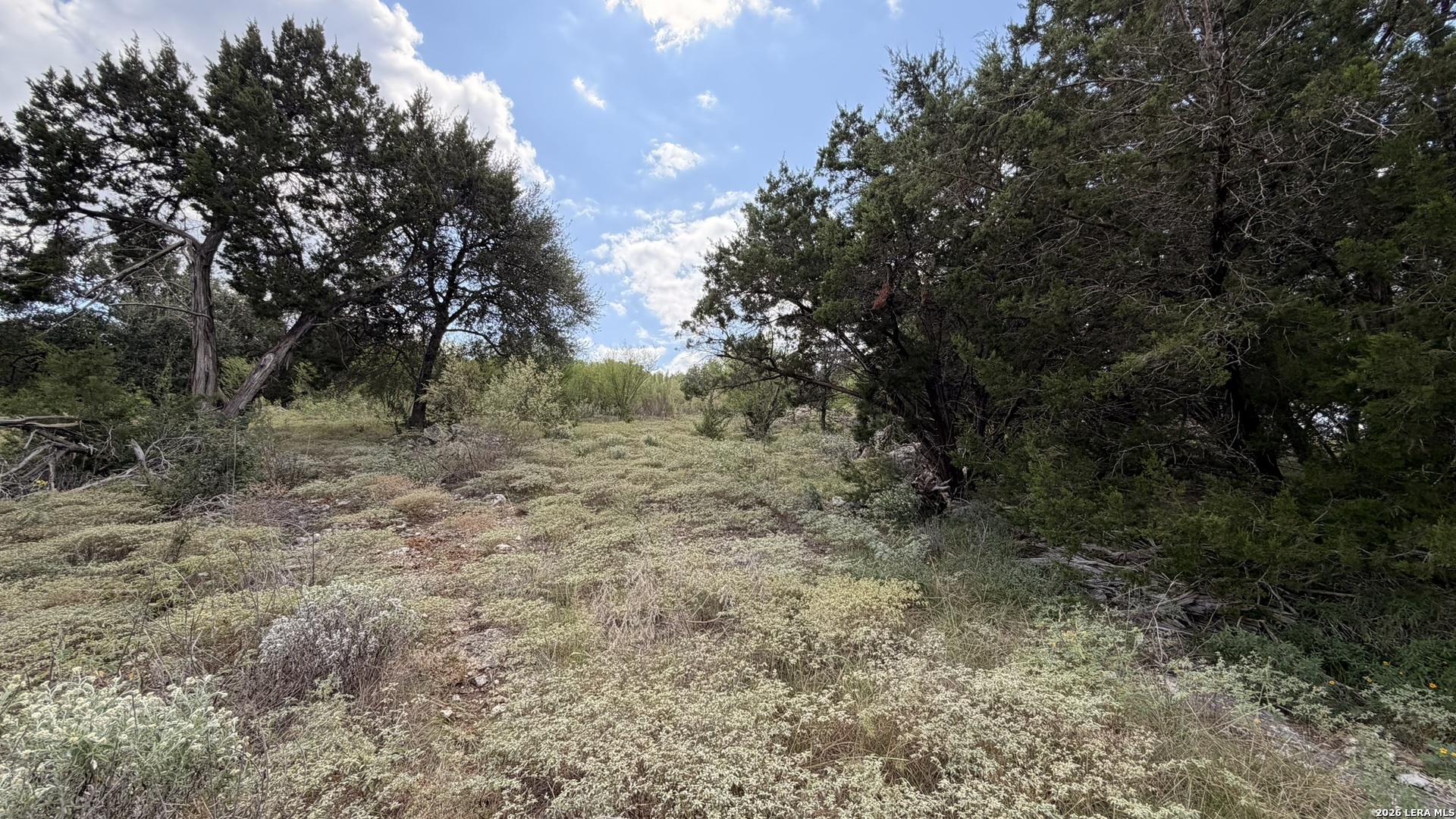 Property photo for 234 Longwood, New Braunfels, TX