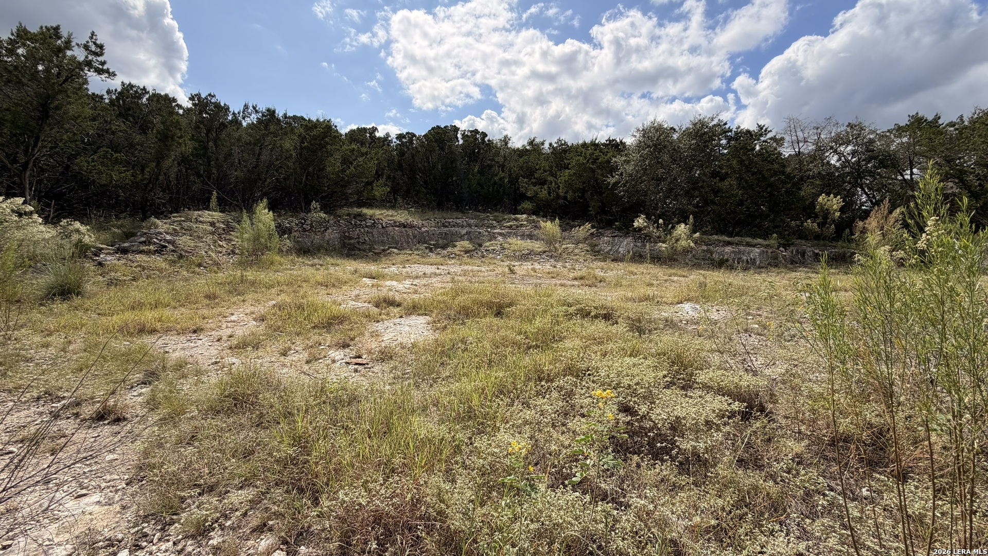 234 Longwood, New Braunfels, TX 78132