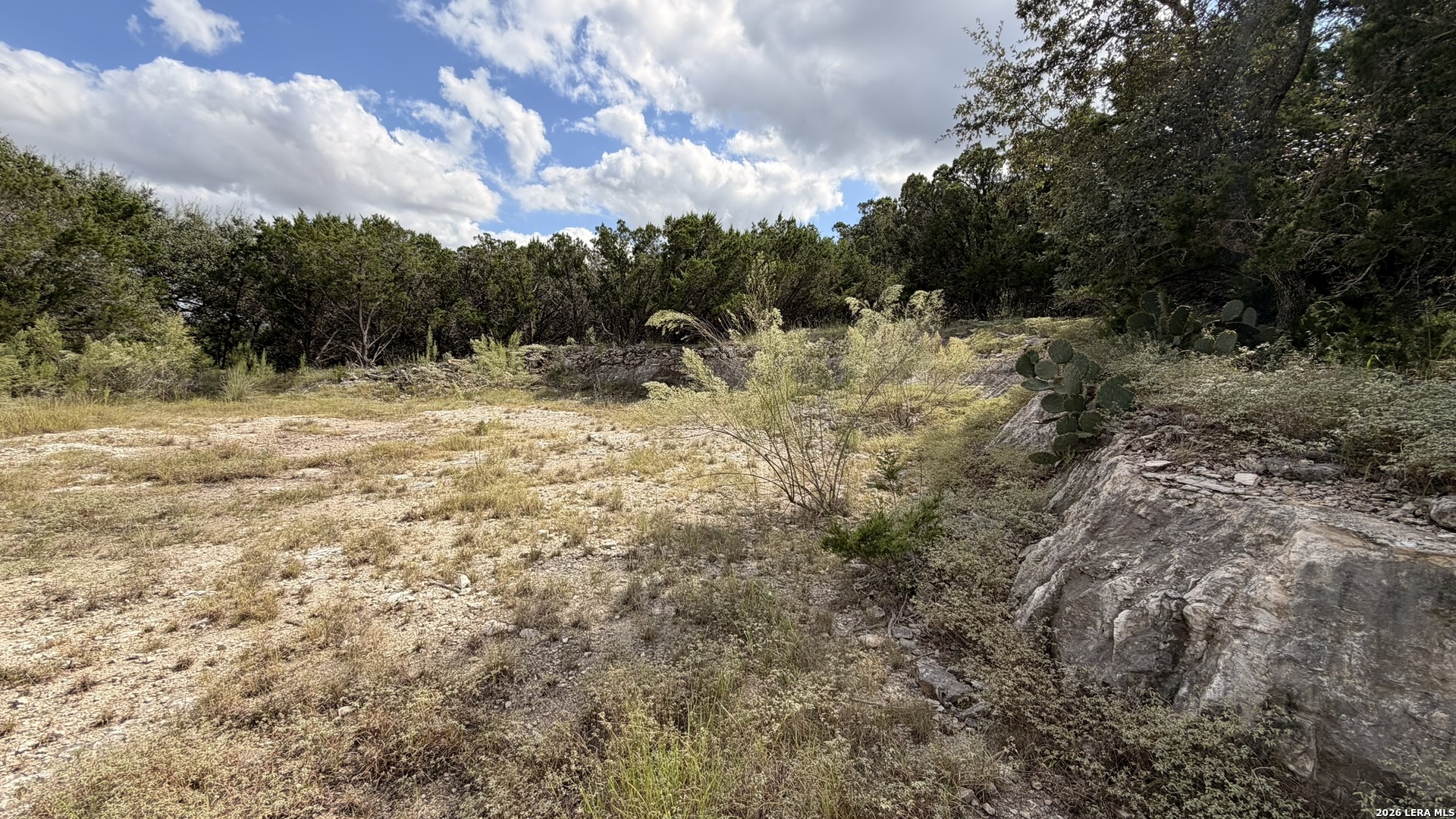 234 Longwood, New Braunfels, TX 78132