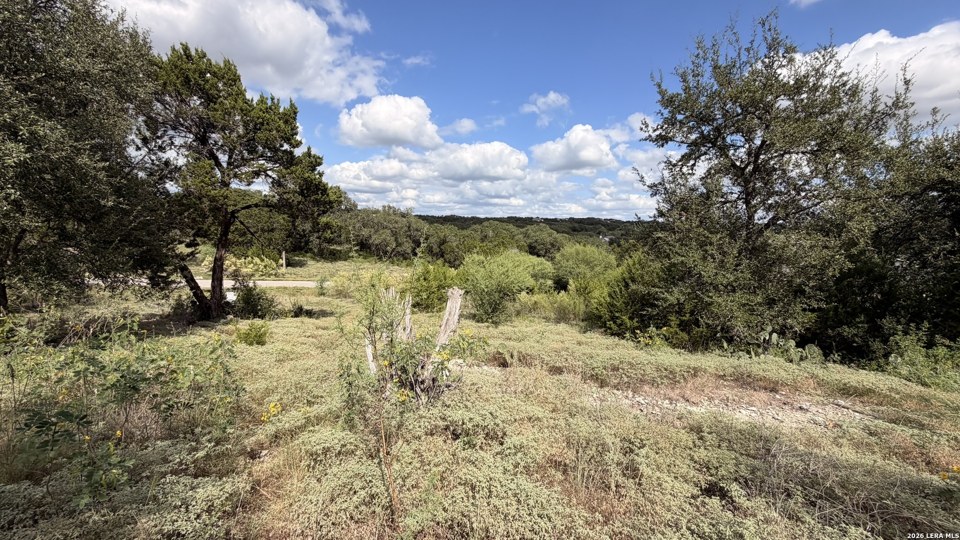234 Longwood, New Braunfels, TX 78132