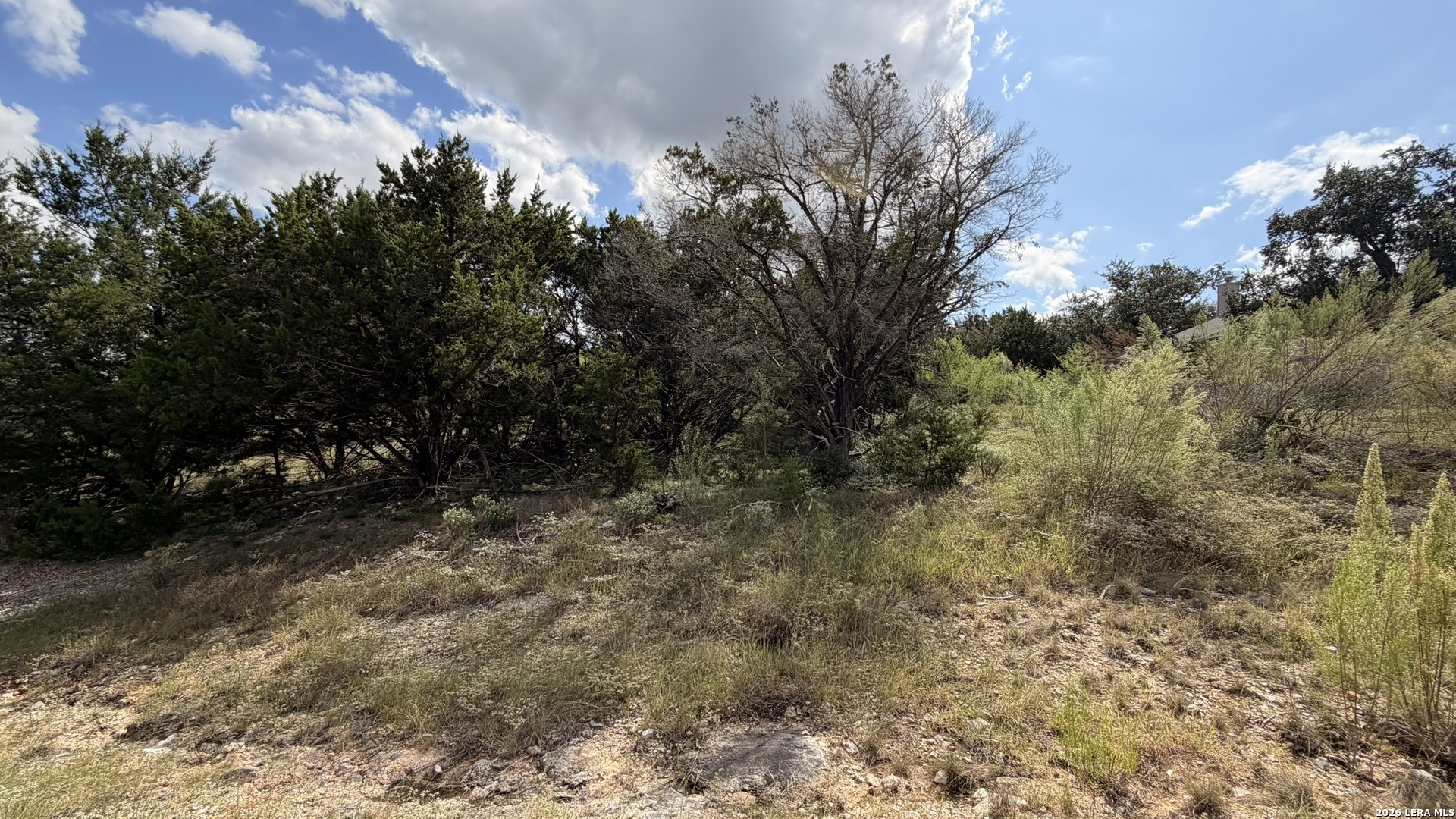 234 Longwood, New Braunfels, TX 78132