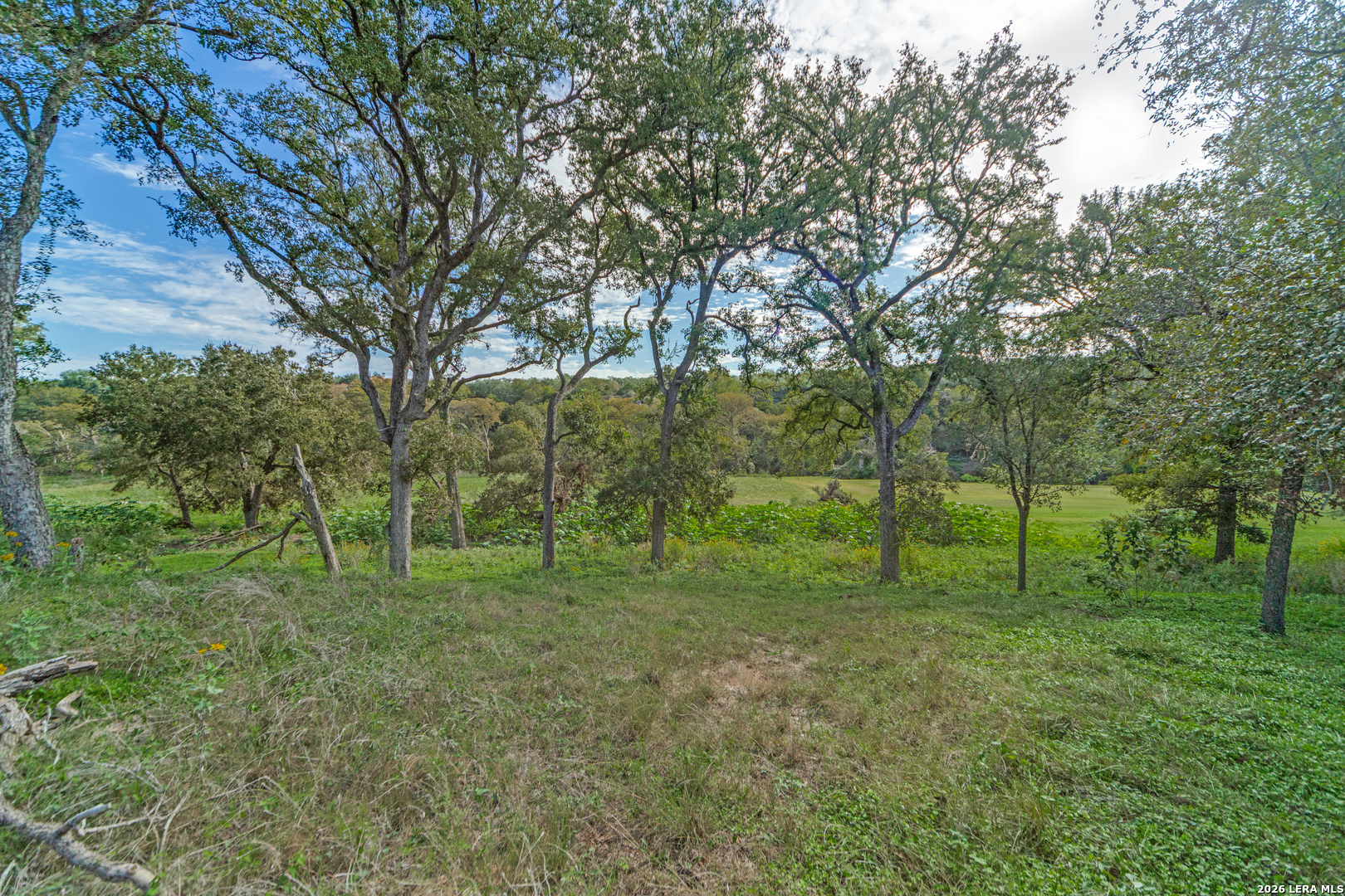 LOT 239 RIVER FOREST DR, Boerne, TX 78006