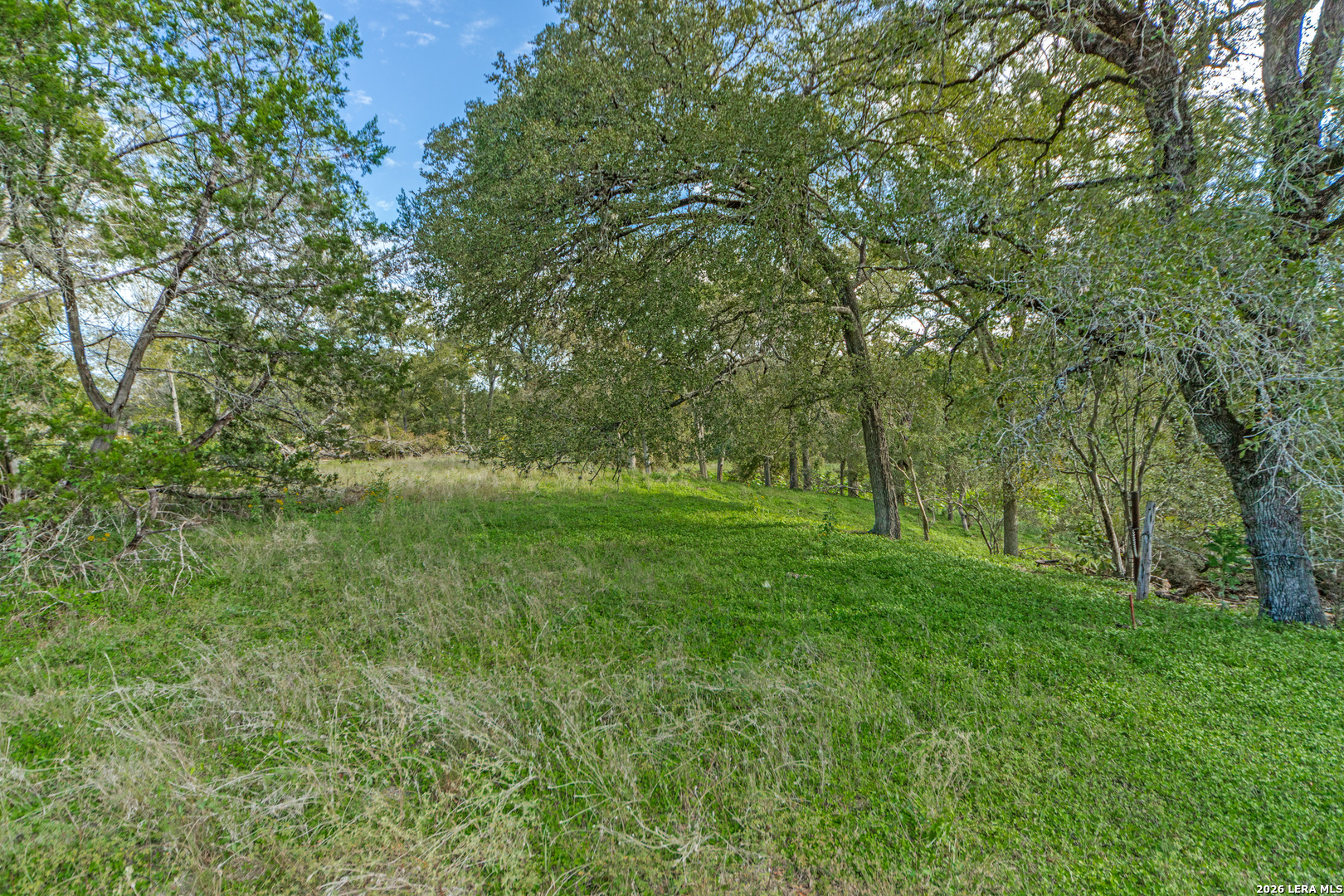 LOT 239 RIVER FOREST DR, Boerne, TX 78006