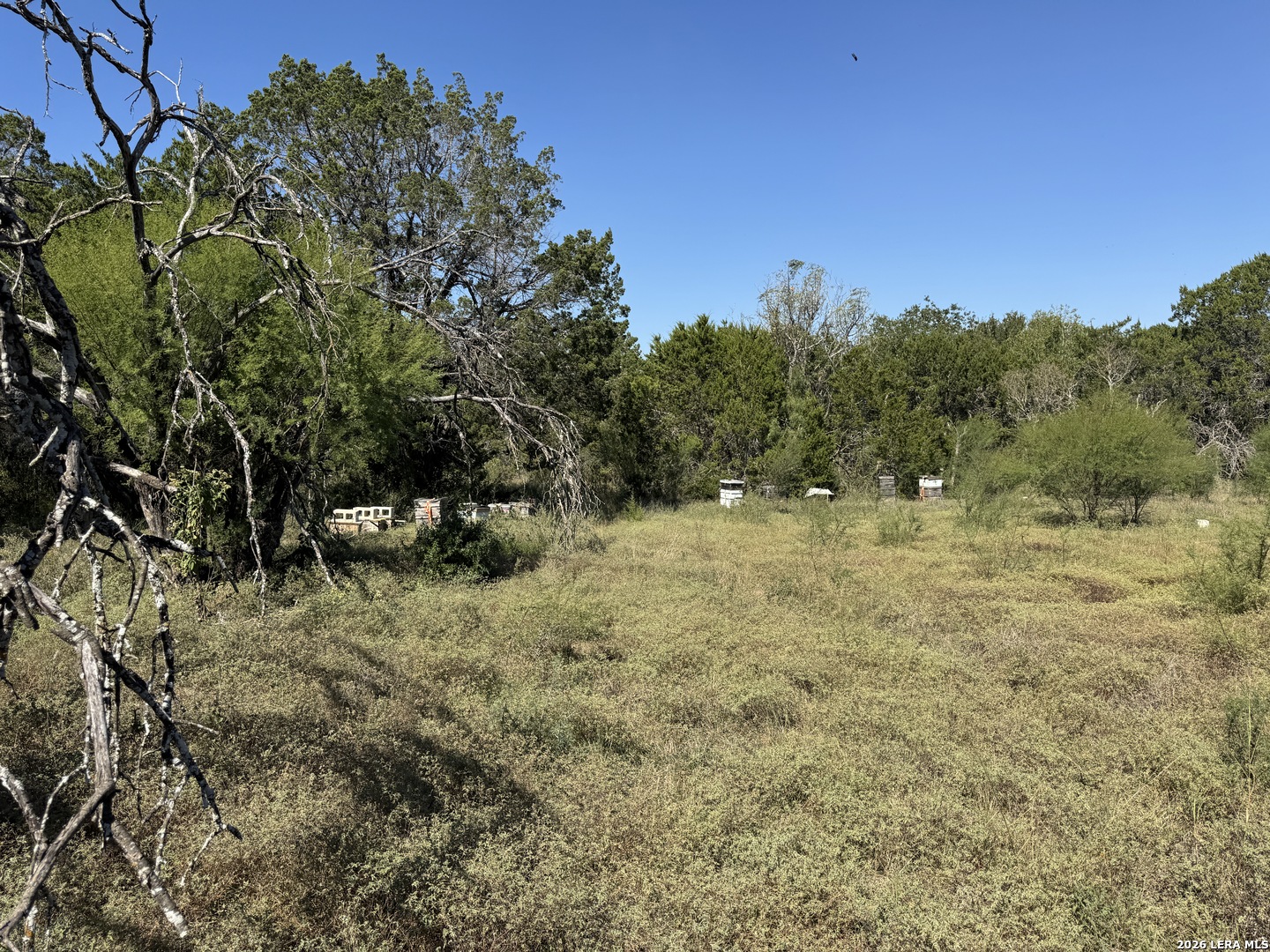 20530 SCHNEIDER LN, San Antonio, TX 78266