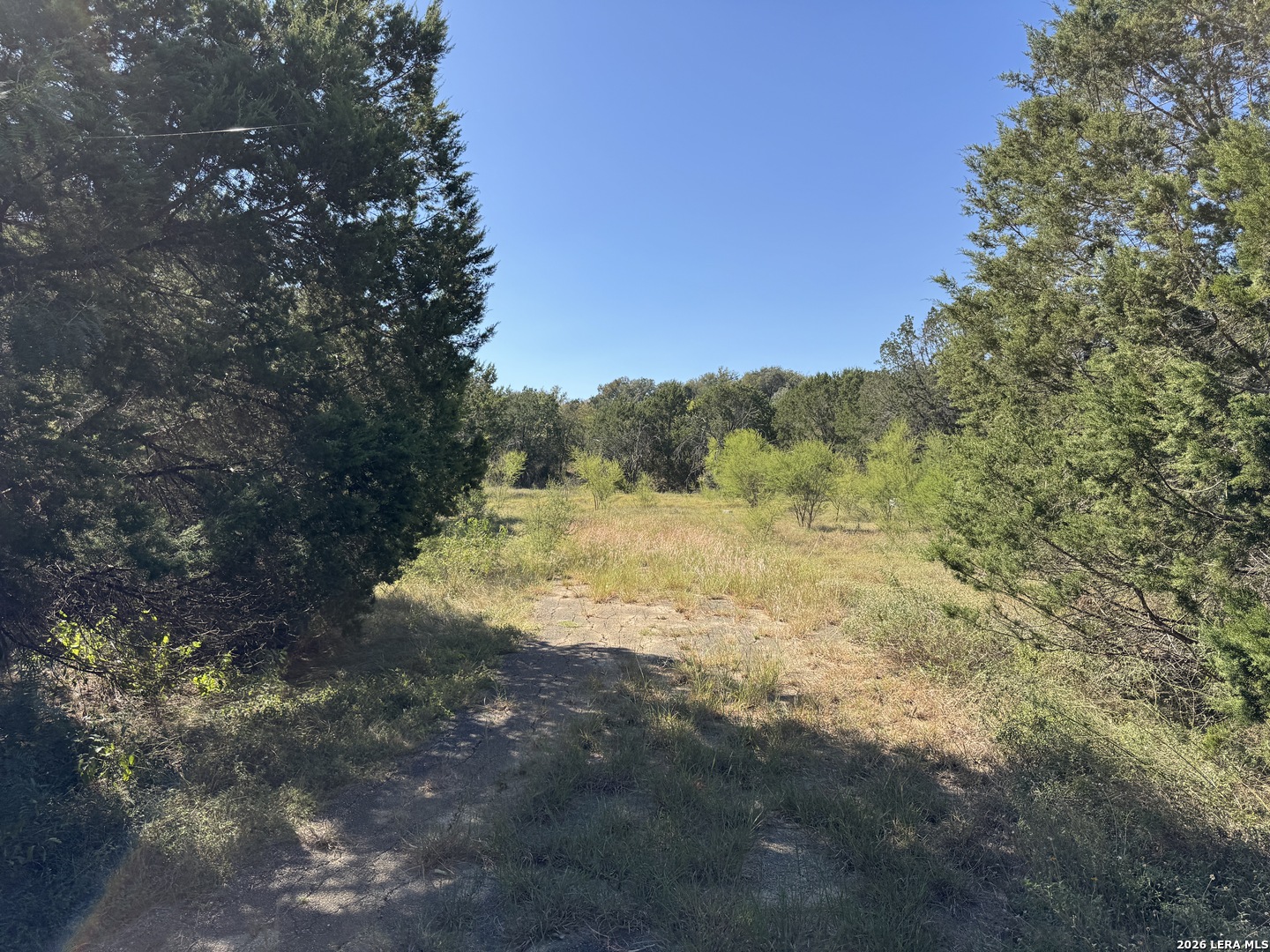 20530 SCHNEIDER LN, San Antonio, TX 78266