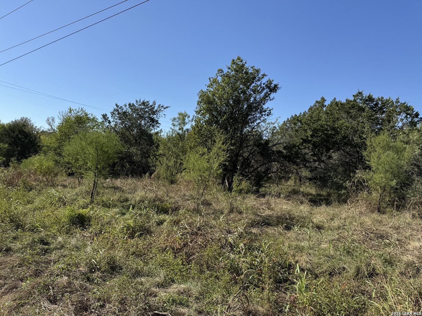 20530 SCHNEIDER LN, San Antonio, TX 78266