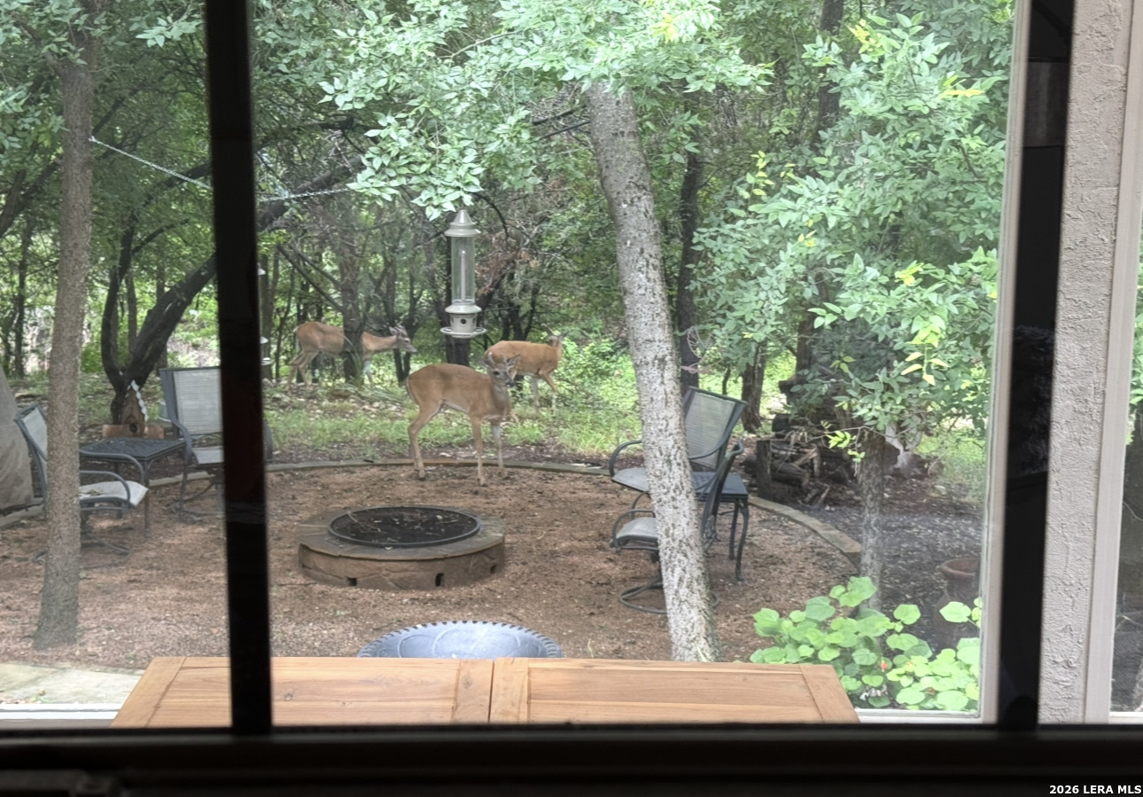 36 Courtside Cir, San Antonio, TX 78216
