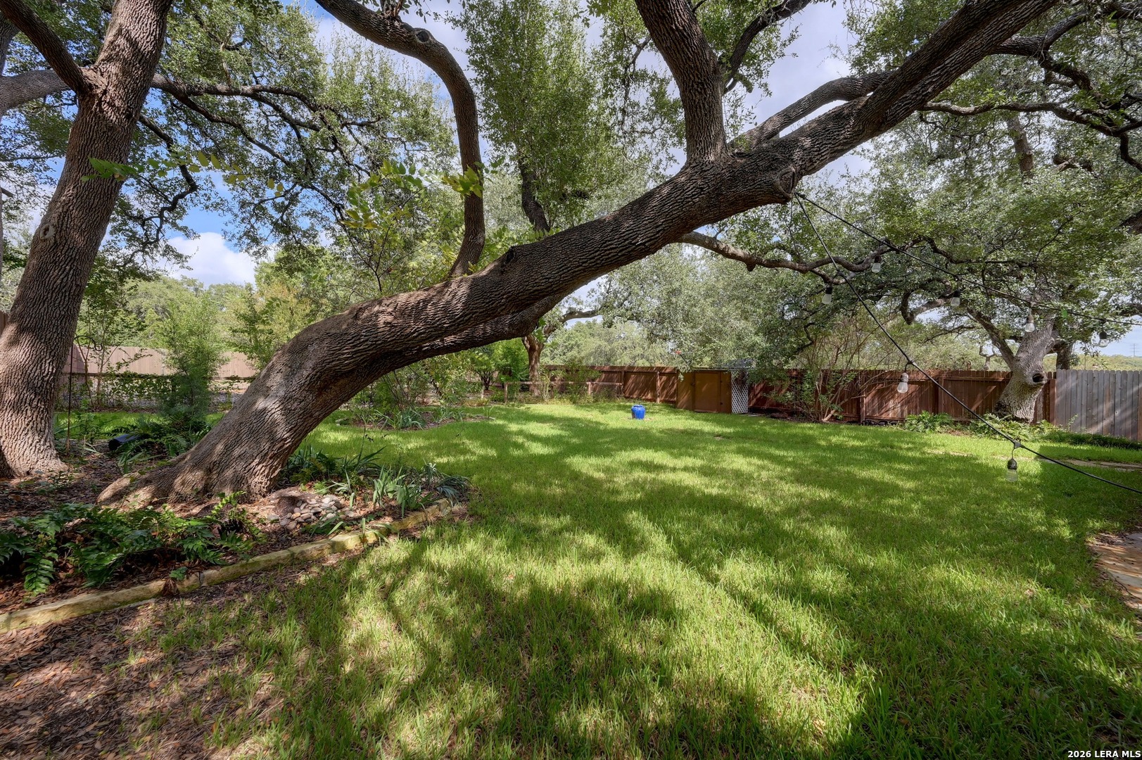 5113 Blue Ivy, Bulverde, TX 78163