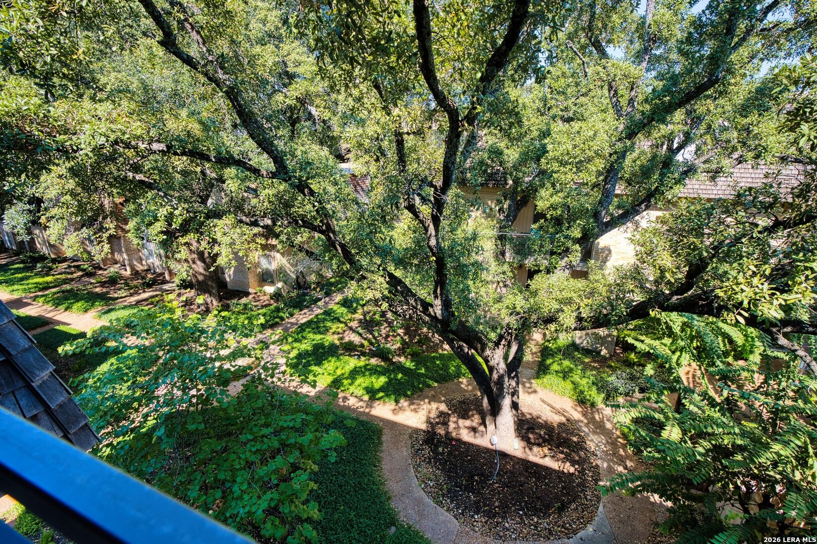 7731 Broadway, #317D, San Antonio, TX 78209