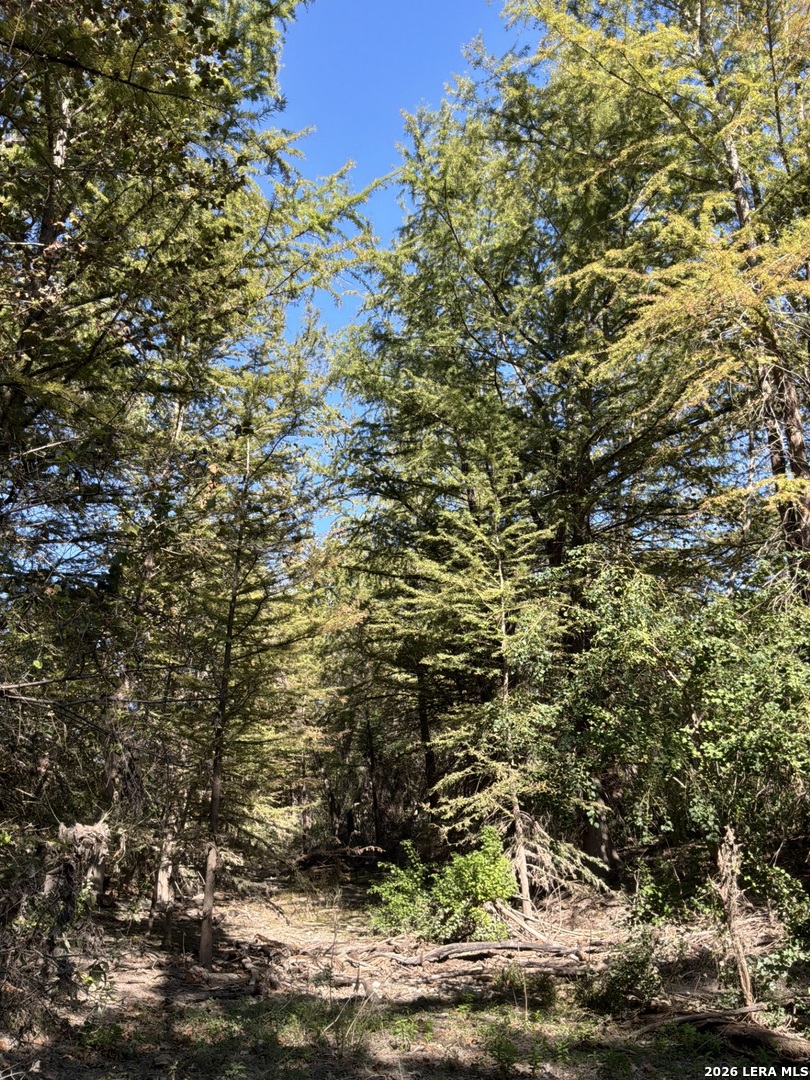 356 PHYLISS DR, Bandera, TX 78003