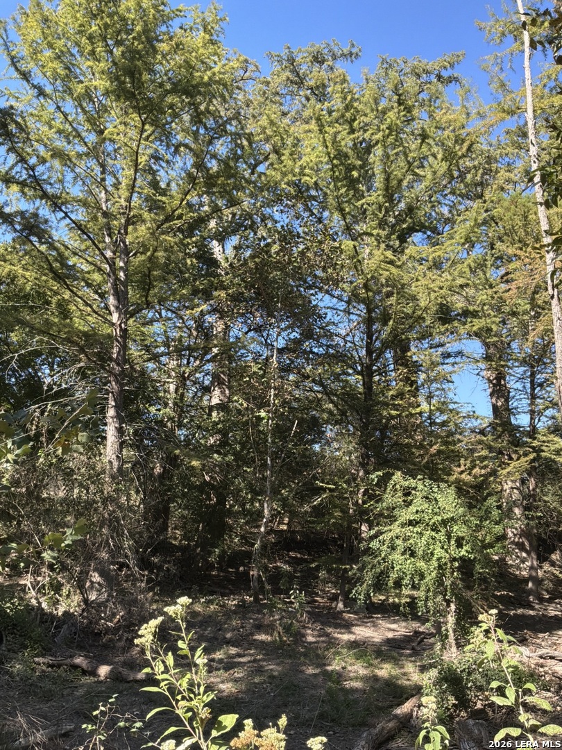 356 PHYLISS DR, Bandera, TX 78003