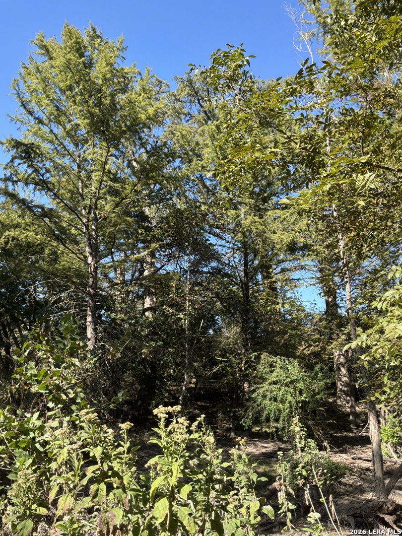 356 PHYLISS DR, Bandera, TX 78003