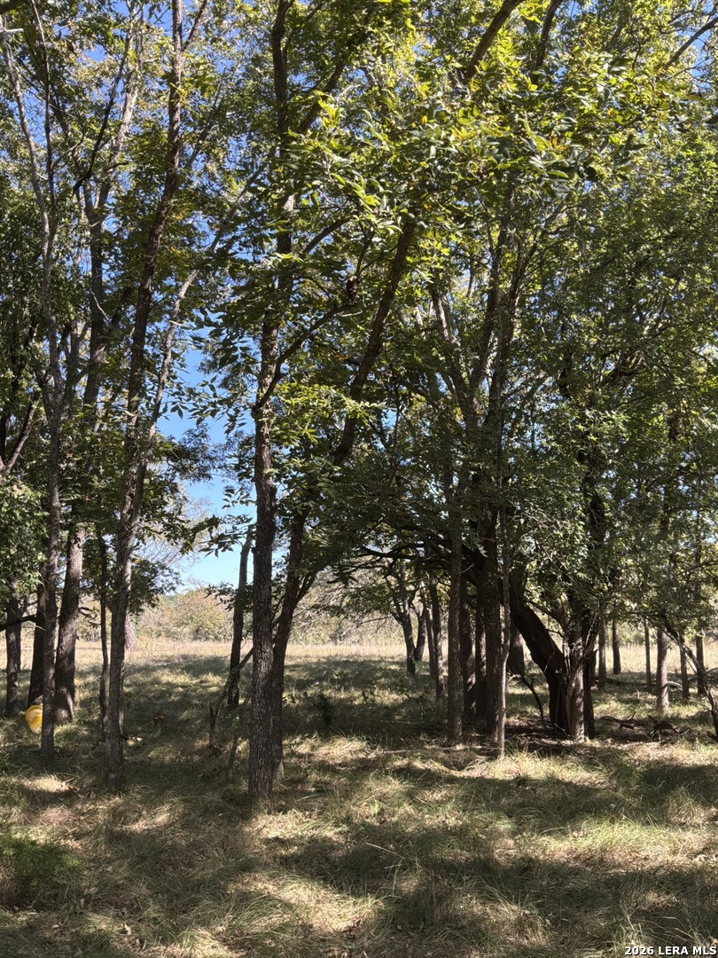 356 PHYLISS DR, Bandera, TX 78003
