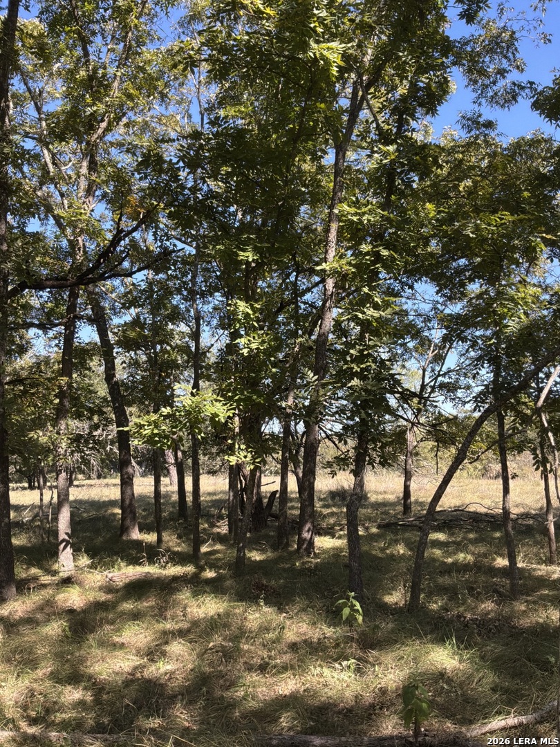 356 PHYLISS DR, Bandera, TX 78003